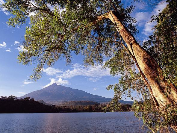 Serena Mountain Village Arusha - Nature 